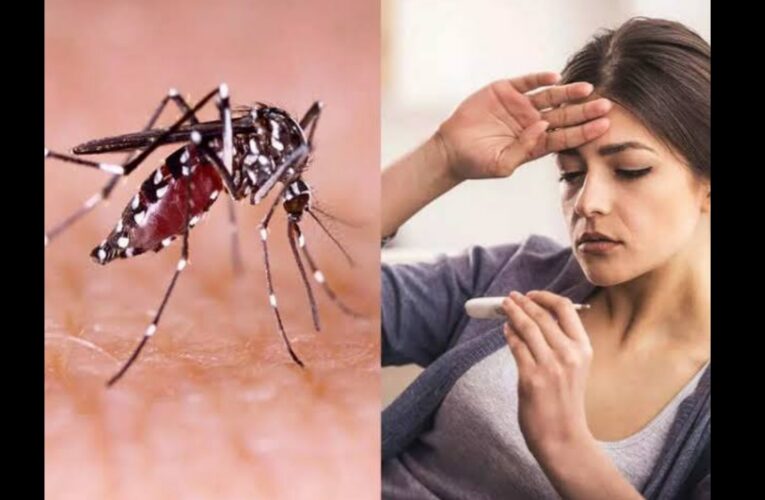 Dengue fever symptoms in marathi