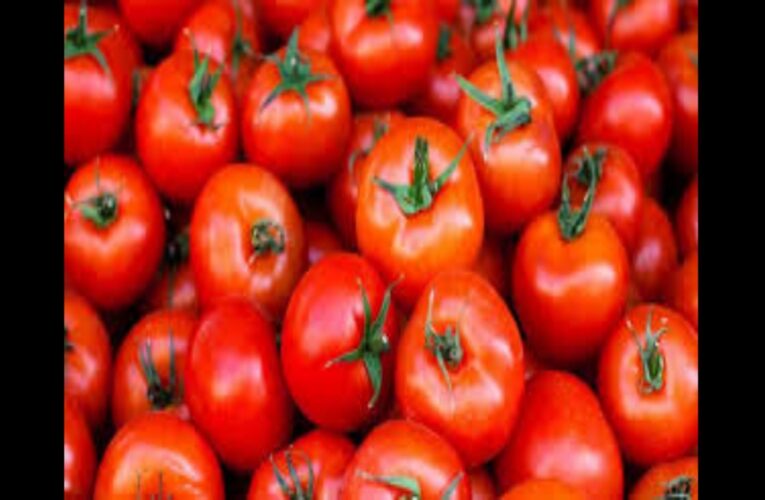 Tomato side effects marathi