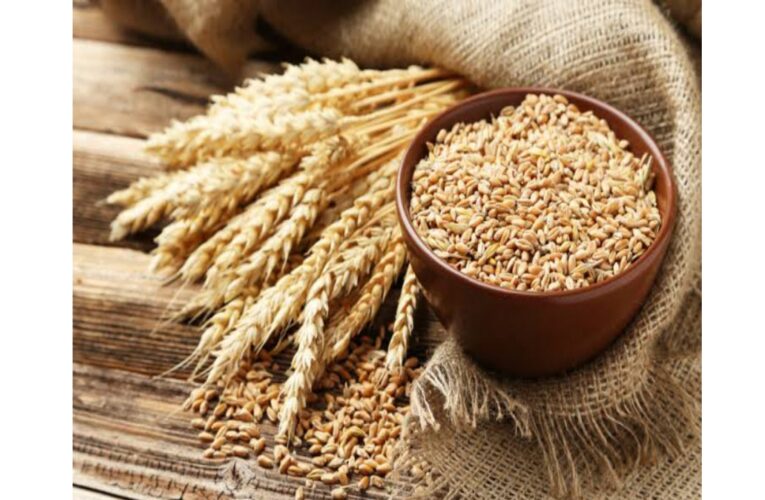 Wheat side effects in marathi